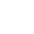 a29
